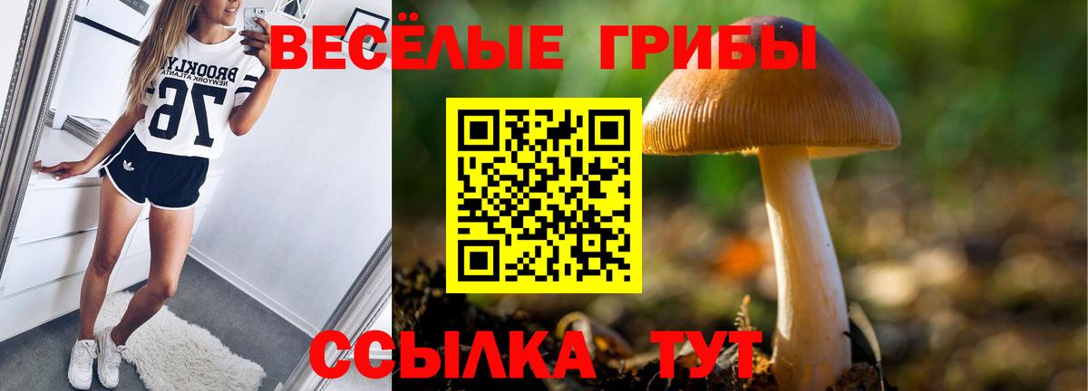 Галлюциногенные грибы Cubensis  Галлюциногенные грибы Cubensis  Чита  Вход с VPN 